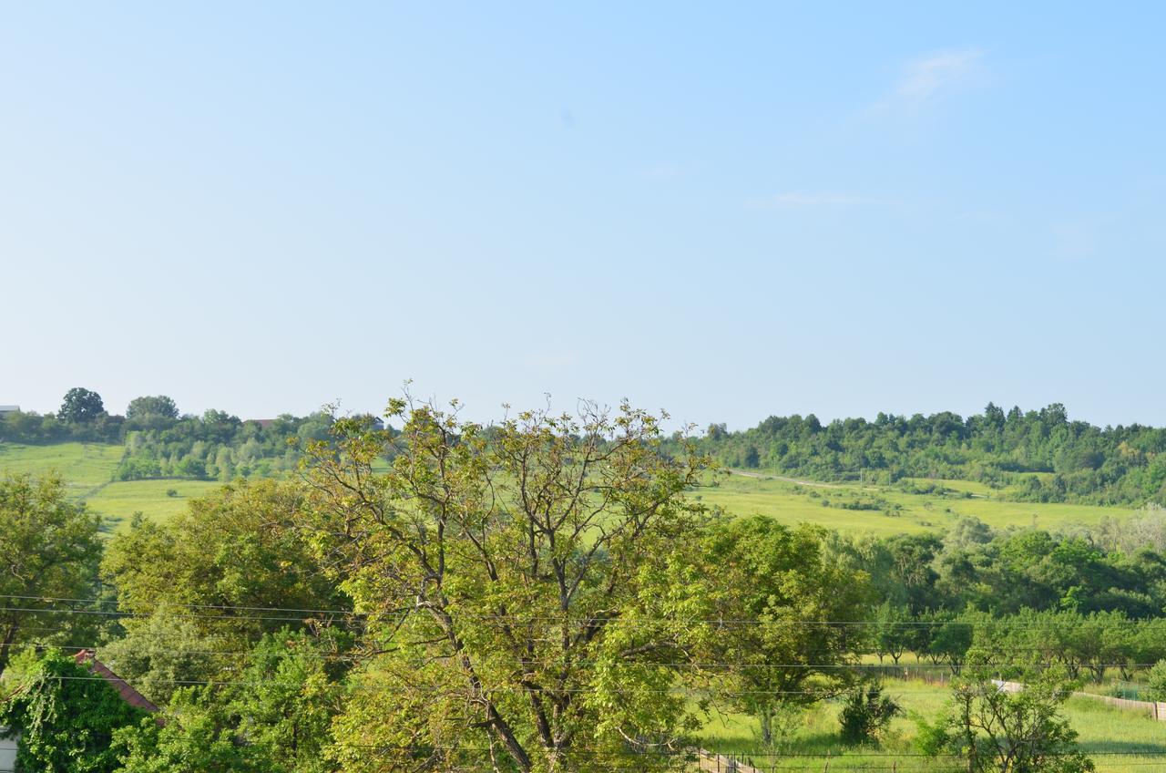 Pensiunea Koruna Poenari Esterno foto