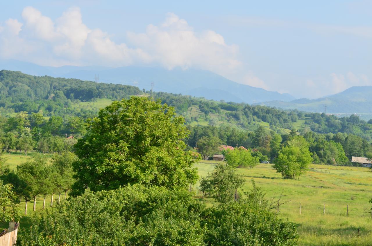 Pensiunea Koruna Poenari Esterno foto