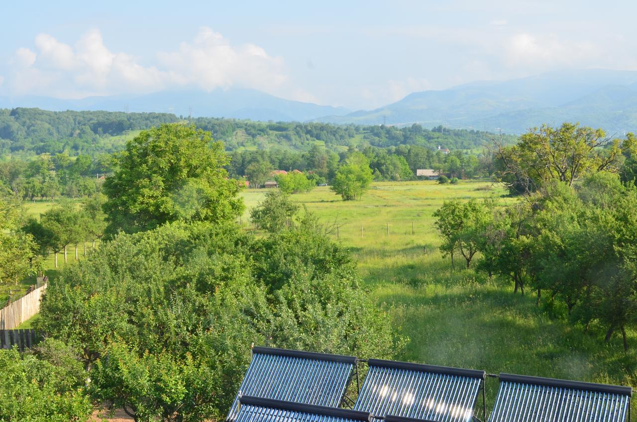 Pensiunea Koruna Poenari Esterno foto