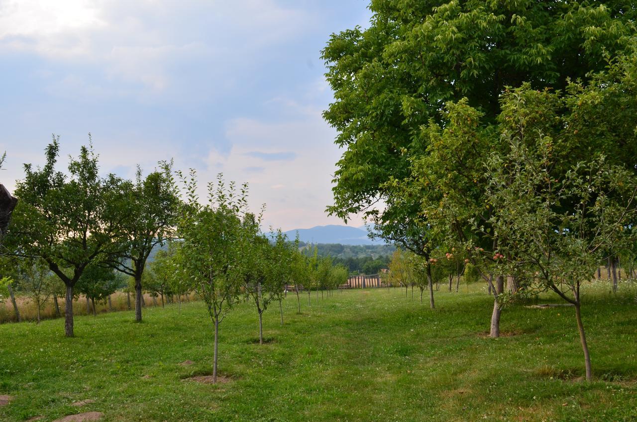 Pensiunea Koruna Poenari Esterno foto