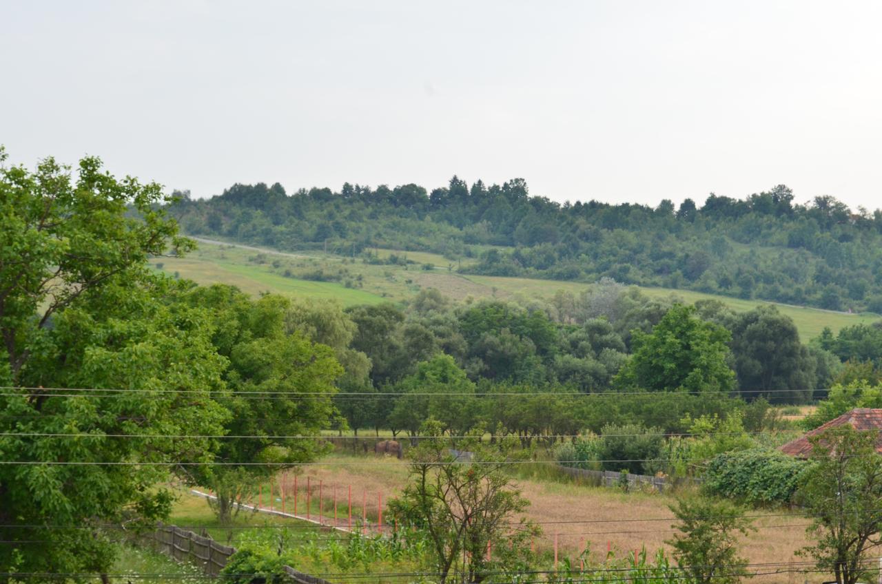 Pensiunea Koruna Poenari Esterno foto